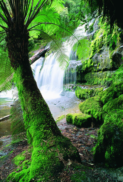 Tasmania National Park