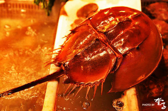 漫步舟山:品尝中国最美的海鲜大排档(2)