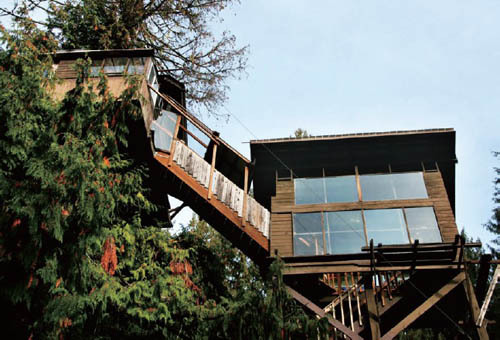 Cedar Creek Treehouse