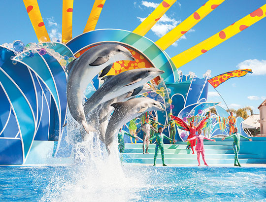 ͯɫʵĺݣͼƬȨSan Diego SeaWorldУδתأ