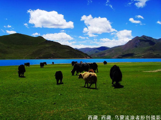 新浪旅游配圖：羊卓雍措 攝影：烏蒙流浪者