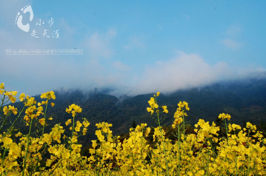 云雾，给山峰披上了神秘的面纱