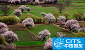 ԭr3800Ԫֱp400Ԫ/