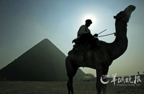The Egyptian capital Cairo, tourists ride camel tour of Pyramid