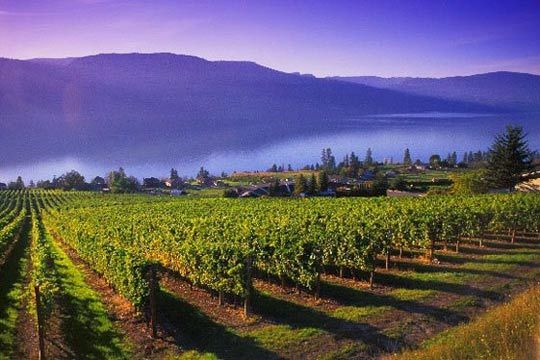 The Canadian province of BC Gray Monk Estate Winery winery