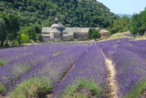 Sina travel picture: Provence photograph: Arthur