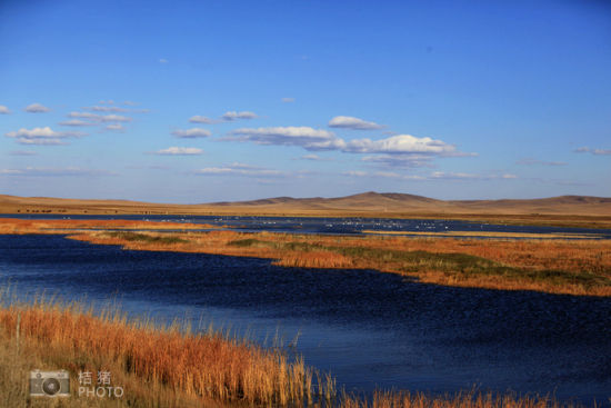 Grassland on the unknown Nur