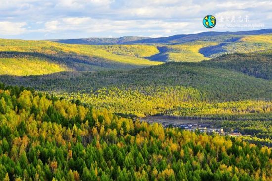 oMֺ
