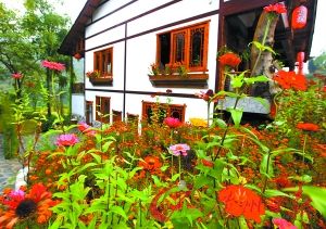 Yang wooden huts