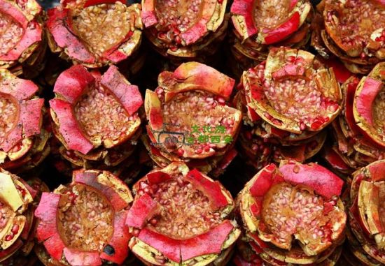 Xi'an Specialty: Pomegranate