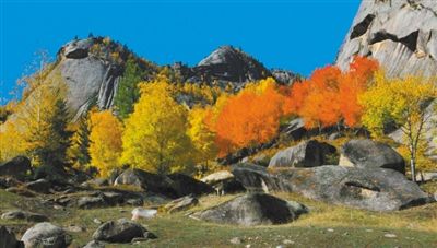 In the Xinjiang area of Aletai, the fall color rich.