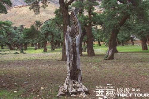 ղ