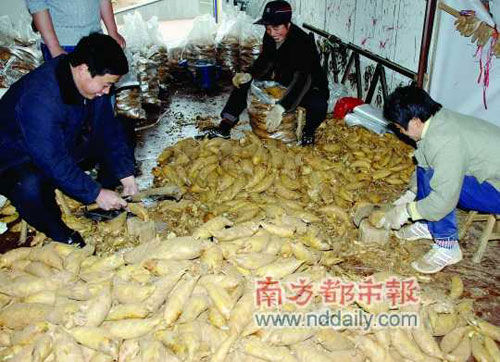 Processing of bamboo shoots