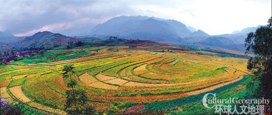 They live in the mountains of Guizhou