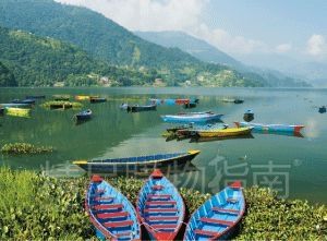 Phewa LakeܰomlСƯʎ