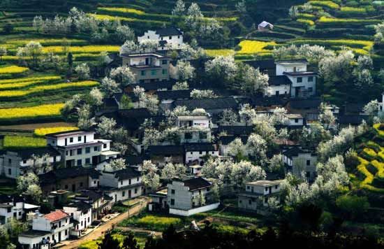 春游婺源旅游攻略:邂逅中国最美的乡村