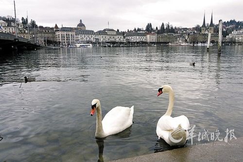 ¬(Luzern)зһڶο