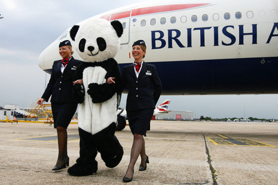 大熊猫欢聚英国航空下午茶 共庆9月开通成都-
