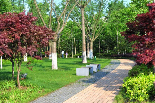 游梅园赏湖景逛老街 无锡景点自驾一日游