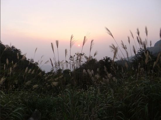 山上主要游览景点有: 奇峰幽谷:河谷以甘南大河谷最为壮观,烟雾缭绕,难以见底,两岸奇峰陡峭; 高山草坪:主脉群峰之顶有六片天然大草坪,草坪四周古木环绕,中间长草不长树,人称天坪山圩; 深山飞瀑:连冲三级,最大一级高约60多米,如龙尾摆动,称三滩龙尾瀑布,夏季还有瀑布穿过山崖石壁而飞泻直下; 壮乡新姿:登上顶峰可模糊看到柳州、钦州; 山脚还有古代作战的石城,东端有出土商、周时代的古墓群等。 交通 1、南宁小金山广场(朝阳广场对面,朝阳路中段)每天9:00有一班旅游巴士直达大