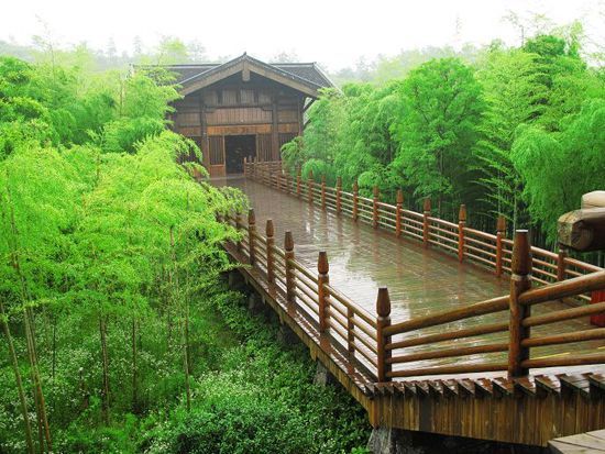 今夏畅游长兴 参与农事亲近大自然