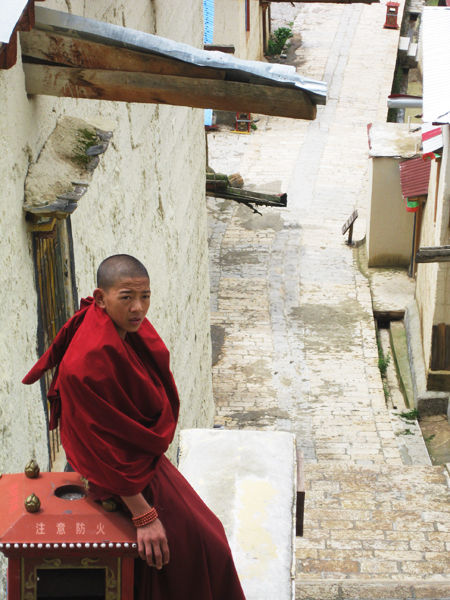 松赞林寺 顺时针生长的莲