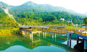 白市驿森林公园