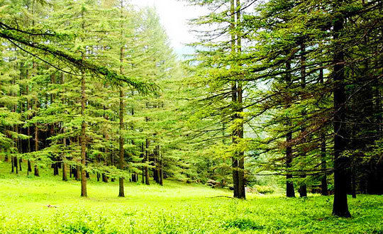  吕梁风光 黄土情 旅行侠再出江湖