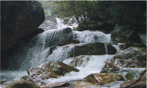 玩水洗肺避暑 盛夏来一场森林浴洗礼