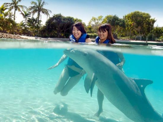 世界十佳胜地让你和野生动物零距离亲密接触