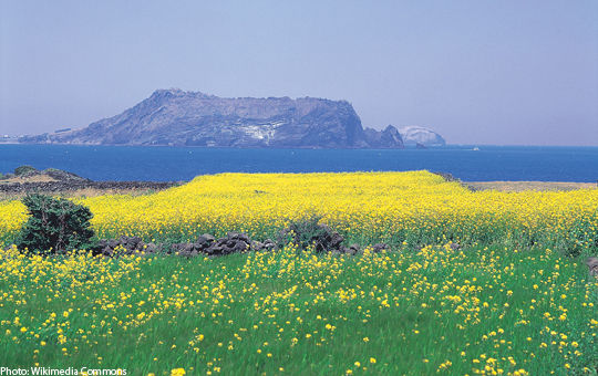 做自己的韩剧主角畅游韩国济州岛城山日出峰 新浪旅游 新浪网