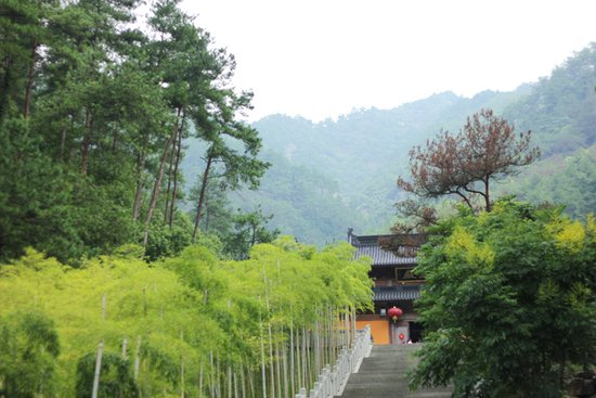 玉泉寺