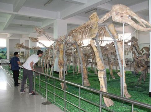 临沂天宇自然博物馆