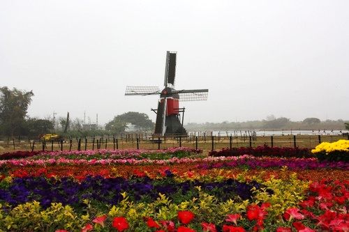 组图:探访风车故乡 一览台湾荷兰村美景