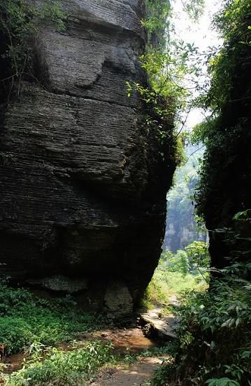 正文     僰王山   海拔高度:1180米   地理位置:四川省宜宾市兴文县