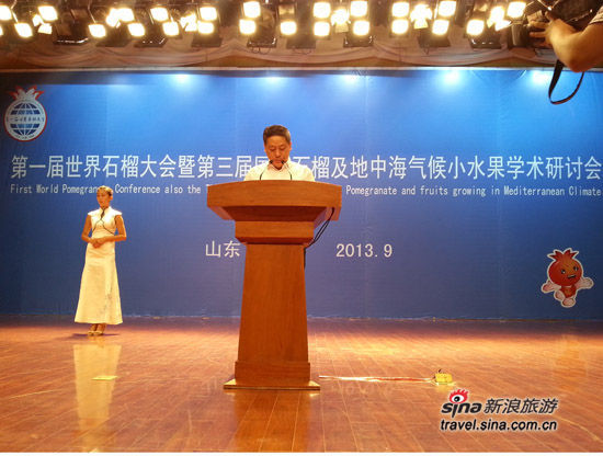 枣庄峄城成功举办第一届世界石榴大会