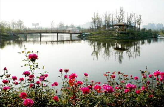 金仓湖图片_纵览新闻