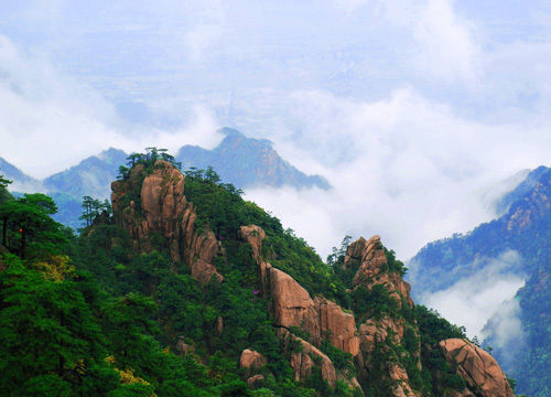 黄山迎来最美秋色 武汉出发登山赏奇松怪石