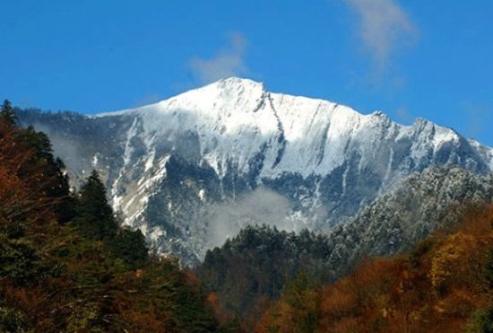 红叶相思唐家河 绚烂枫光在眼前