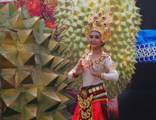 走进榴莲老家领略东南亚诸国特有风采(图)