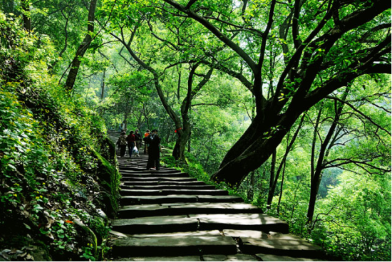 龙脊山