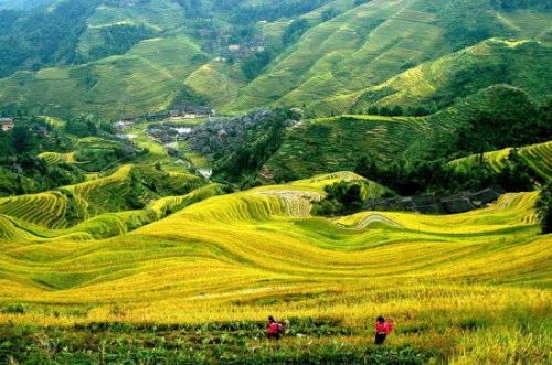 漫步在广西龙脊梯田 遇见最真实的自我
