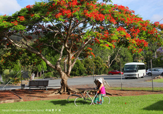 @冰城馨子:远离污染 澳大利亚、新西兰的纯净