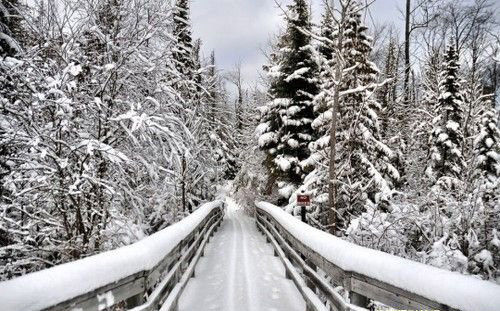 诗意雪景摄影技巧大公开 背景和时机的选择