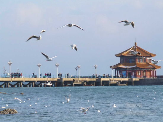 青岛海湾一日游攻略