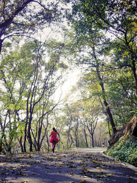 组图:冬日古都南京 落日湖畔时光慢(4)