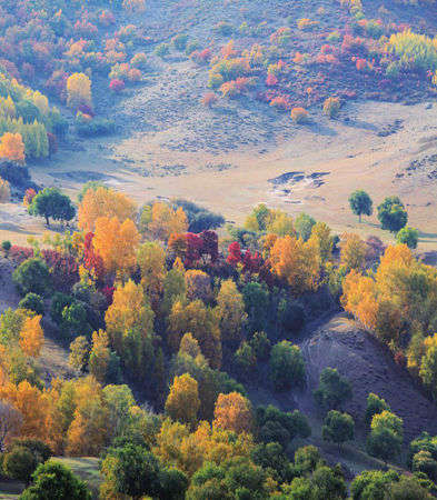 我和草原有个约定 迷人的乌兰布统