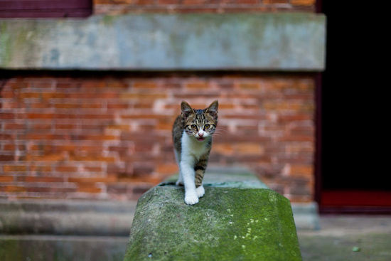 组图:浙大之江校区 值得你花一整个白天与它相处(4)_新浪旅游_新浪网