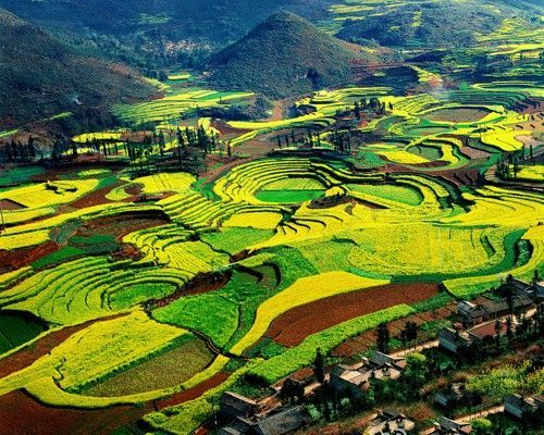 最早油菜花地罗平最佳旅游摄影景点推荐