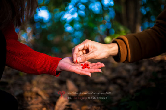 丹霞印像 小小红豆寄相思_新浪旅游_新浪网